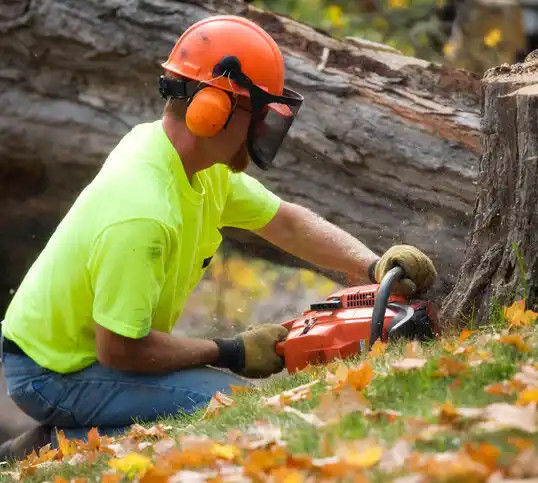 tree services Hornersville